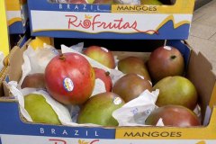 rio-mangos