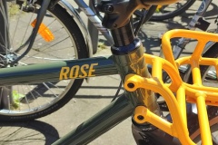 red-rose-bycicle